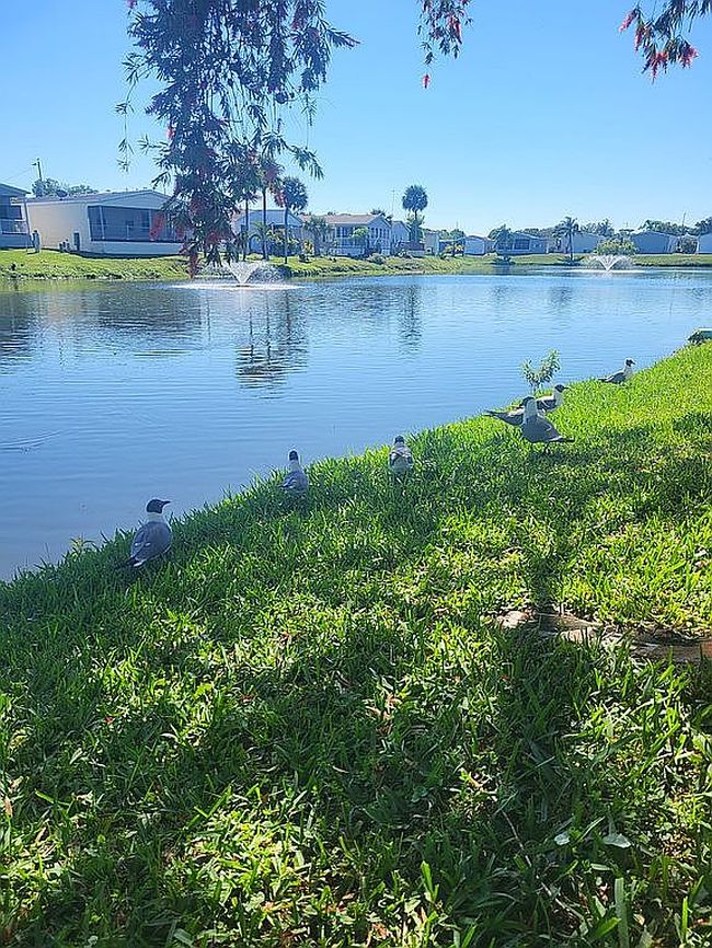 Image of 14516 Winter Dr #417