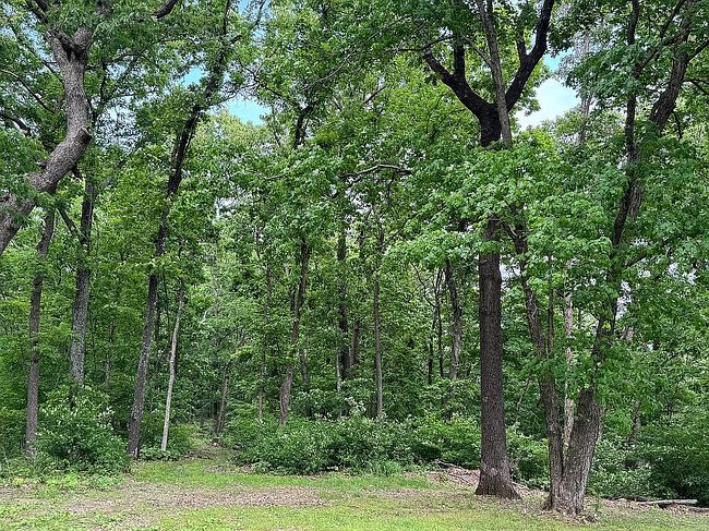 Image of 7175 Old Lemay Ferry Rd