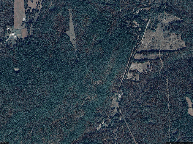 Image of 224 Ernie Woods Rd