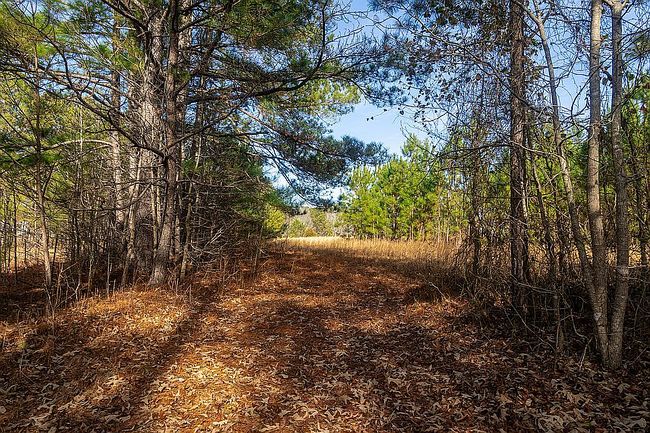Photo of Strickland Town Rd