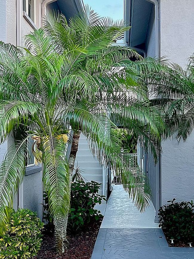Image of 1004 Sw 48th Ter Apt 203