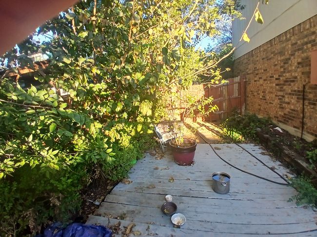 Additional photo 3 of property located at 2213 Thistlewood Ct