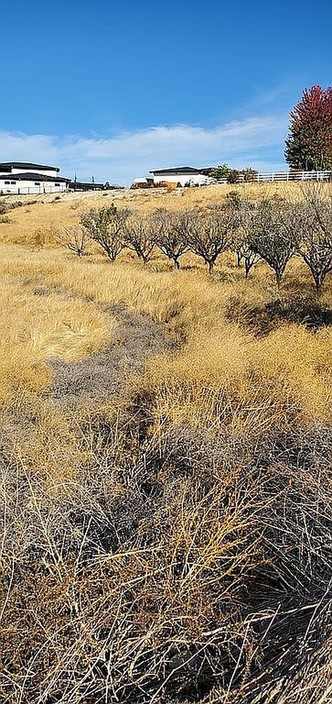 Image of 0 Pelican Ln