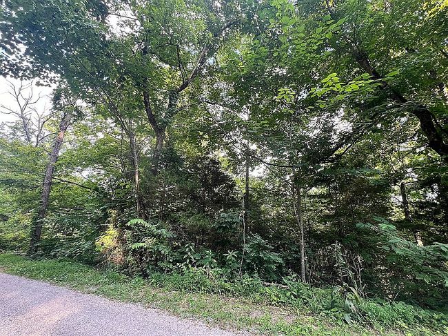 Photo of 0 Pine Haven Rd, Clarkson, KY