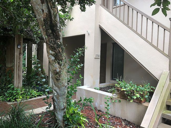 Image of 1736 Lake Cypress Dr