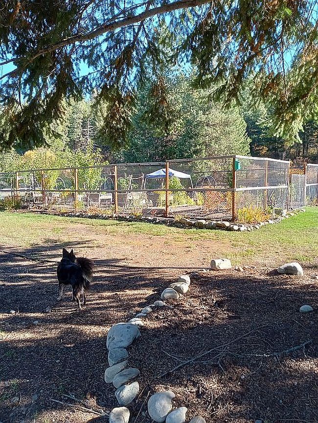 Photo of 224 Branch Ln, Moyie Springs, ID