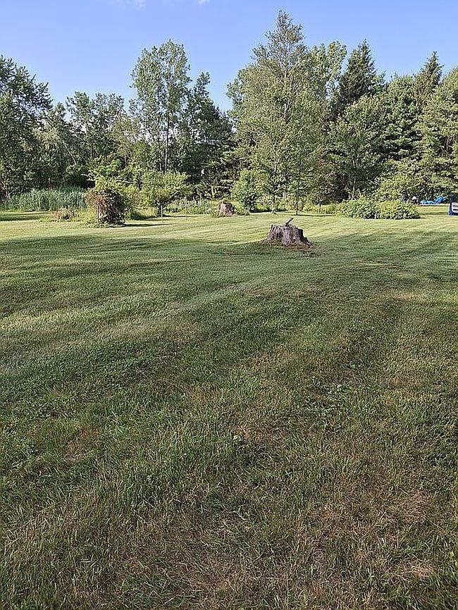 Photo of 227 Consaul Rd, Albany, NY