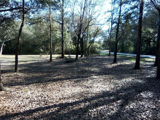 Image of 12910 County Road 49 Lot 2