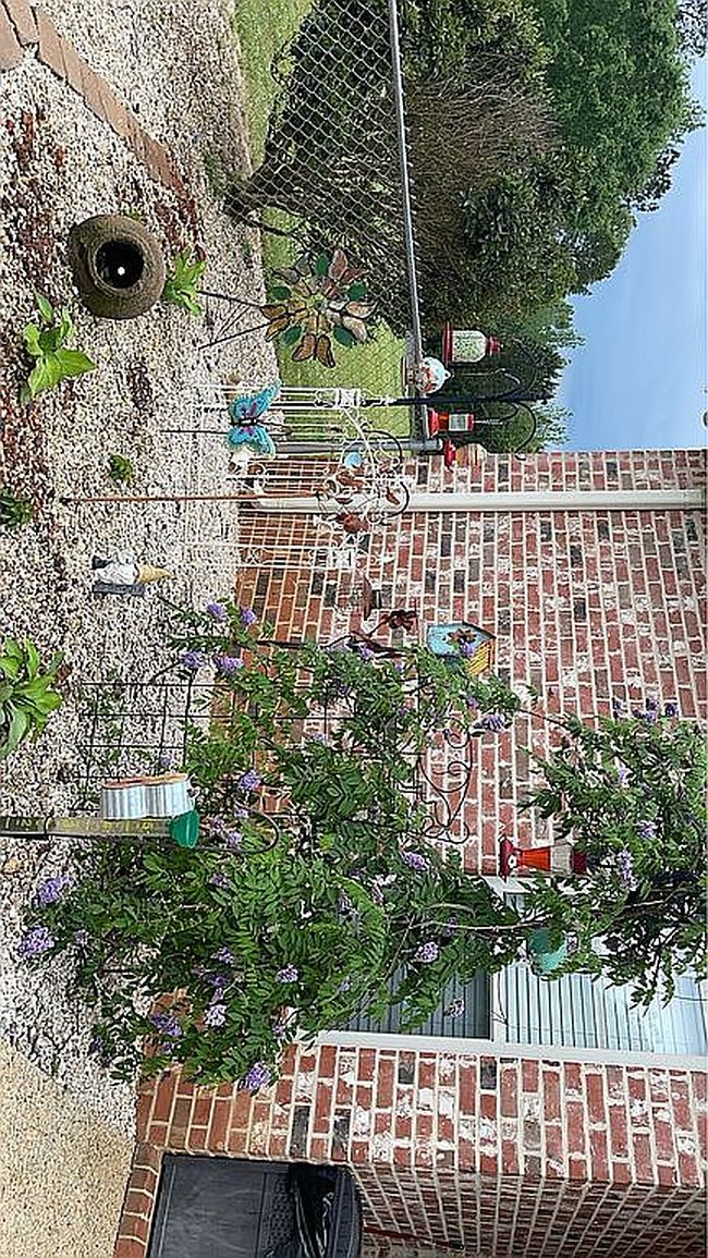 Image of 4108 County Road 371