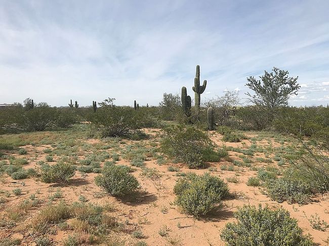 Image of 5425 N River Rock Ln