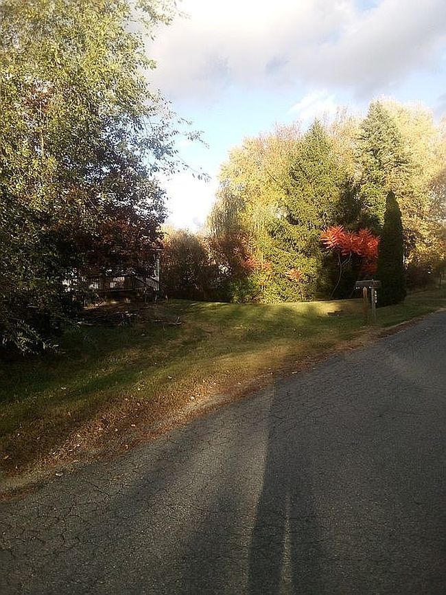 Image of 5675 Tousley Dr
