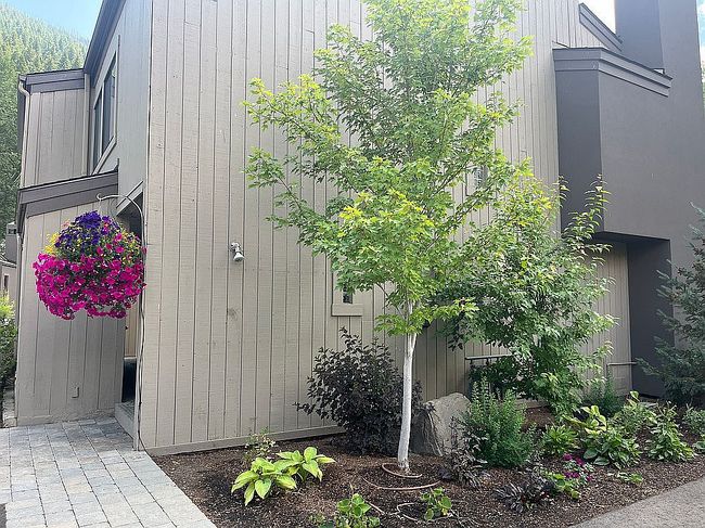 Photo of 119 Picabo St #B2, Ketchum, ID