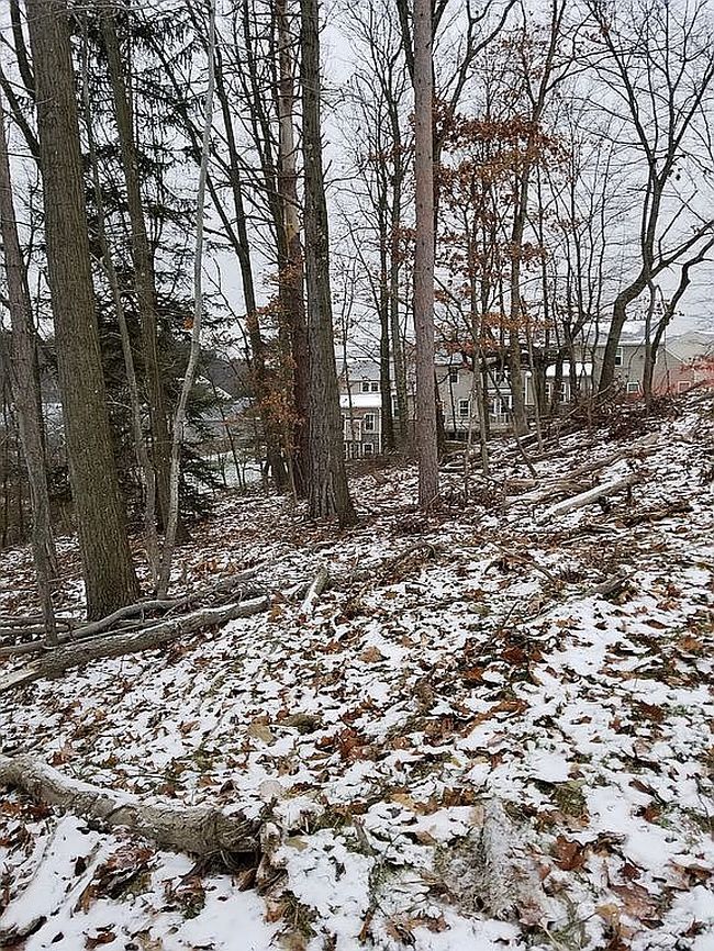 Image of 3011 Wexford Rd