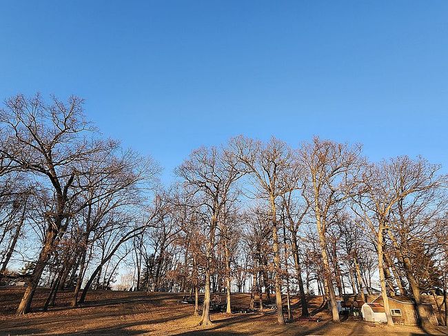 Image of 4816 N West Shafer Dr Lot 50