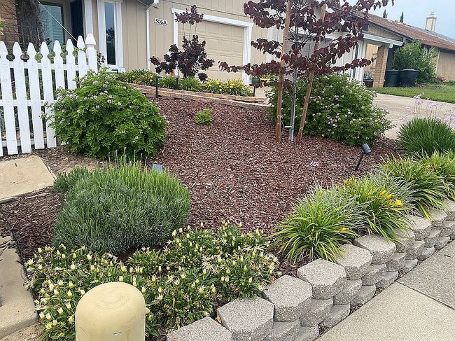 Photo of 506 Hyacinth Ct