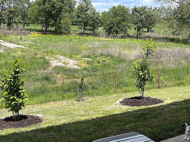 Photo of 526 Nw 62nd Ave, Bentonville, AR