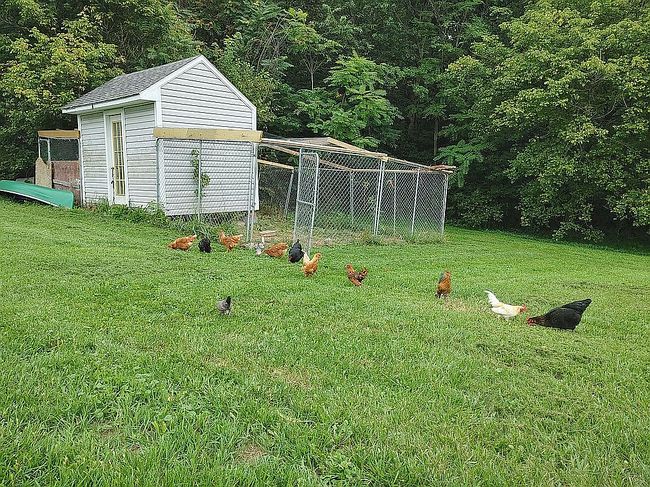Image of 3668 Smith Creek Rd
