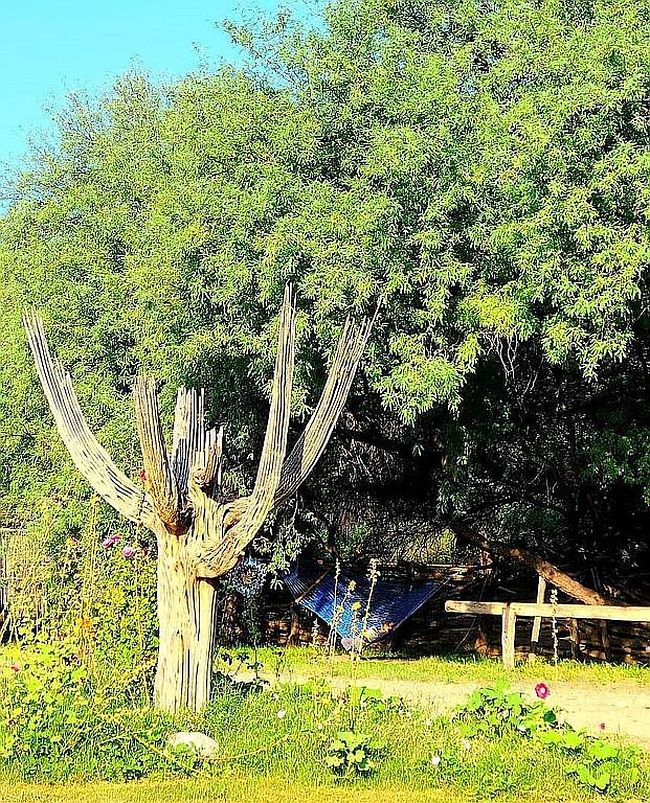 Image of 6200 N Cascabel Rd