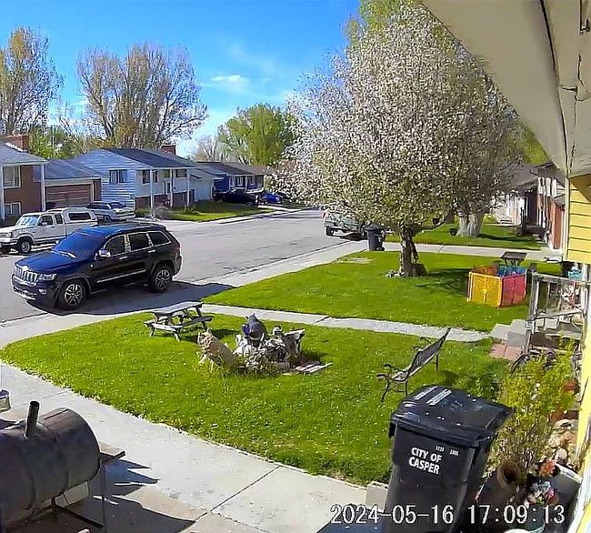 Image of 1421 Ivy Ln