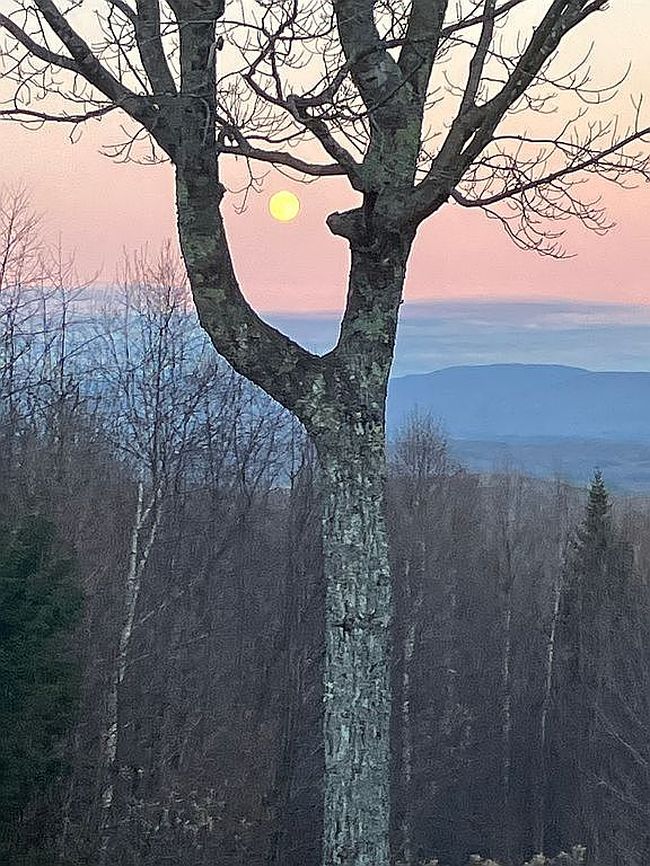 Additional photo 2 of property located at 823 Ide Mountain Dr