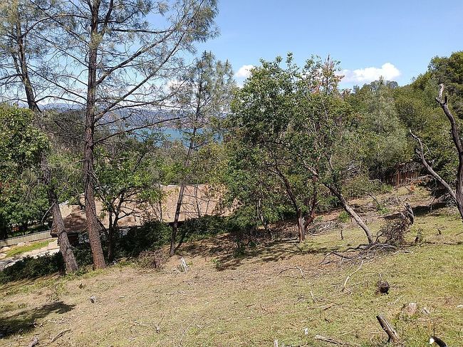 Image of 4995 Klamath Rd
