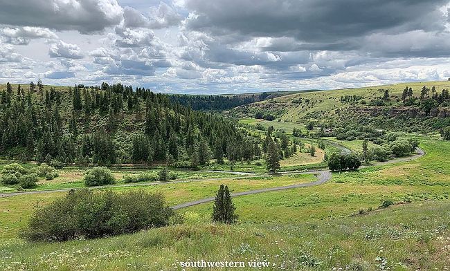 211 Red Tail Ridge Rd, Colfax, WA