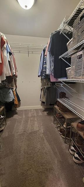 Image of 5546 Mulberry Pl