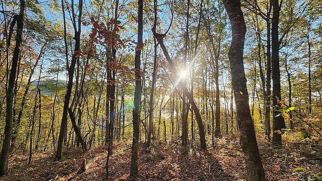 Photo of 14 S Woods Mountain Trl, Cullowhee, NC