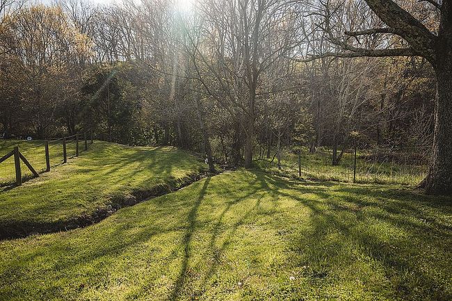 Image of 4470 Mountain Rd