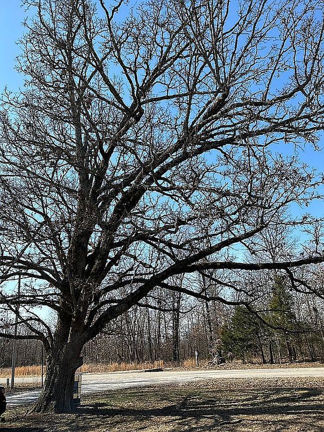 Image of 144 Woods Point Rd