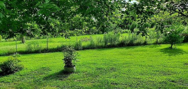 Photo of 4295 Lick Creek Rd, Buncombe, IL