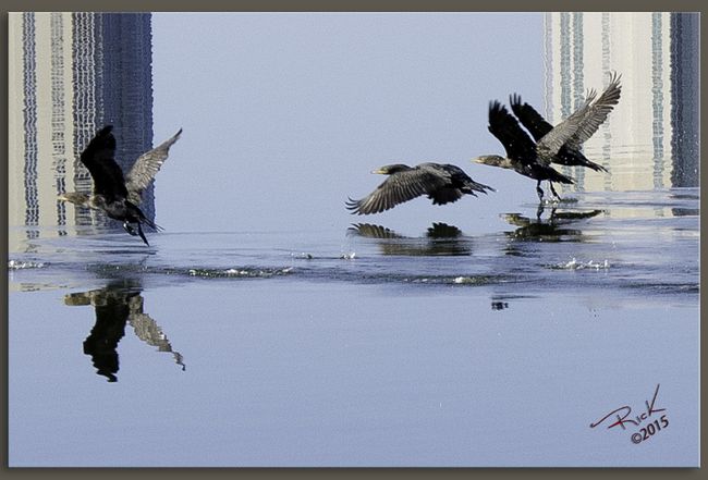 Additional photo 2 of property located at 16720 Brigadoon Trl