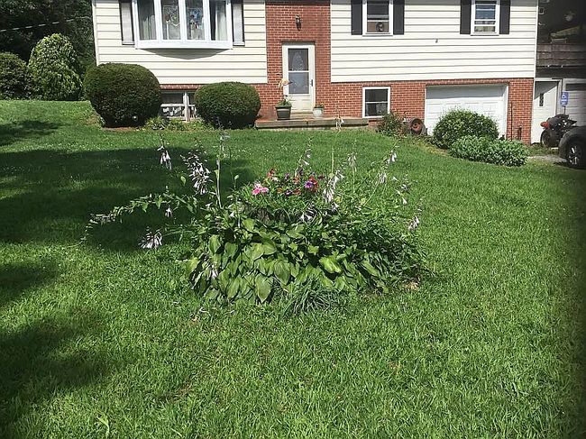 Photo of 1141 Old Lairdsville Rd, Muncy, PA