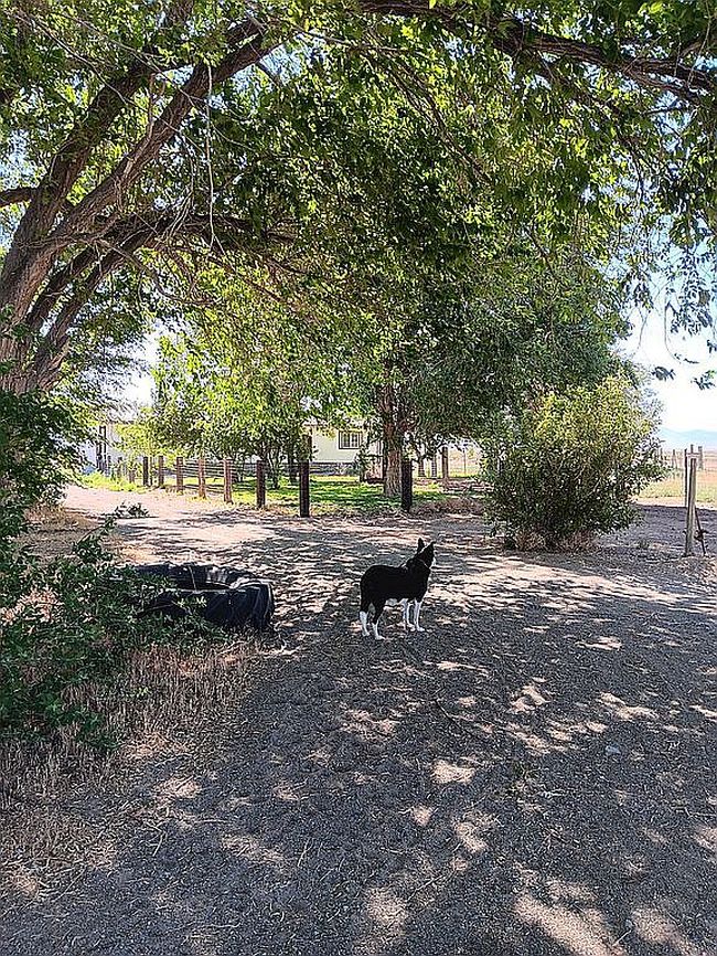 Additional photo 2 of property located at 6055 Colt Dr