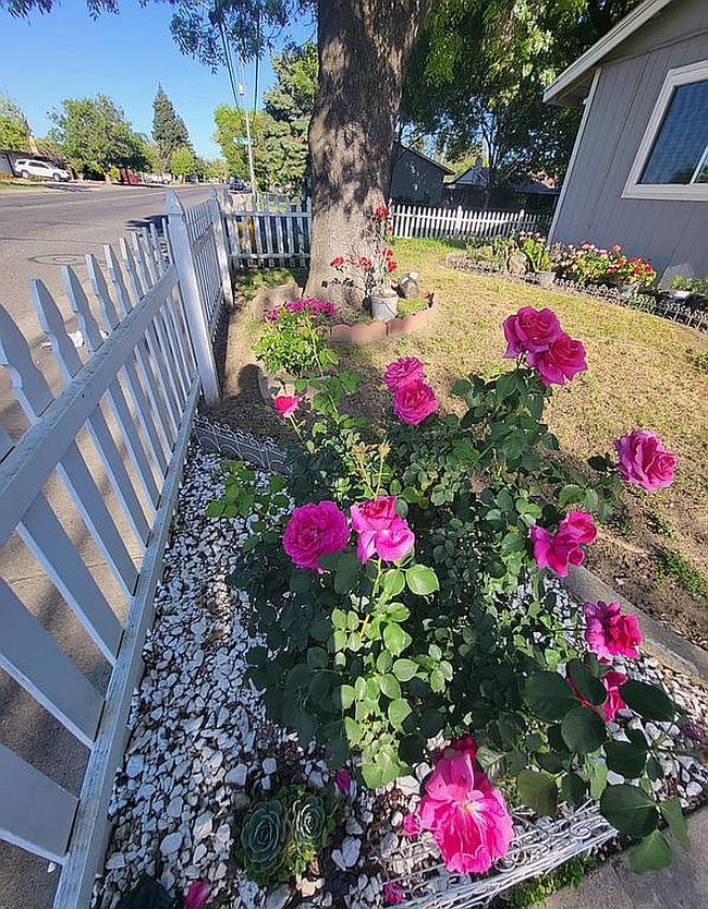 Image of 2028 W Rumble Rd