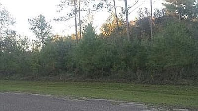 Image of 0 Janells Landing Dr
