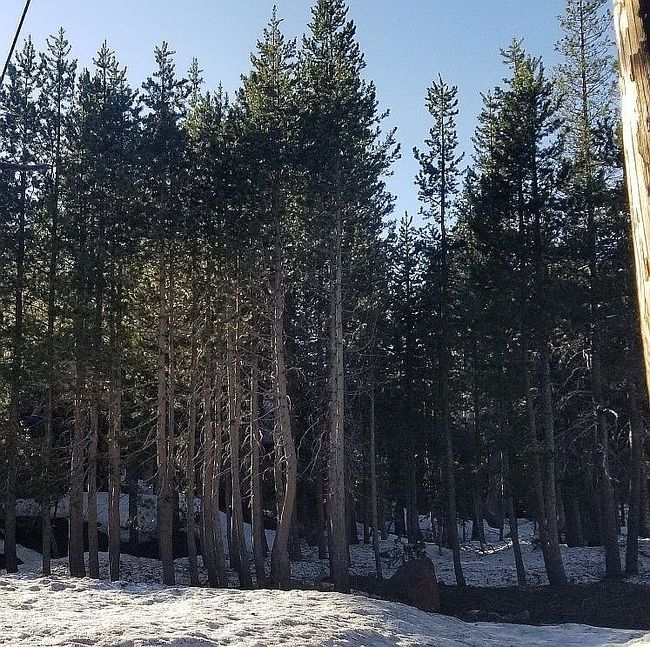 Photo of 8607 Yuba Dr, Soda Springs, CA