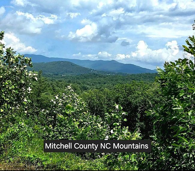 Image of 1294 Cane Creek Rd