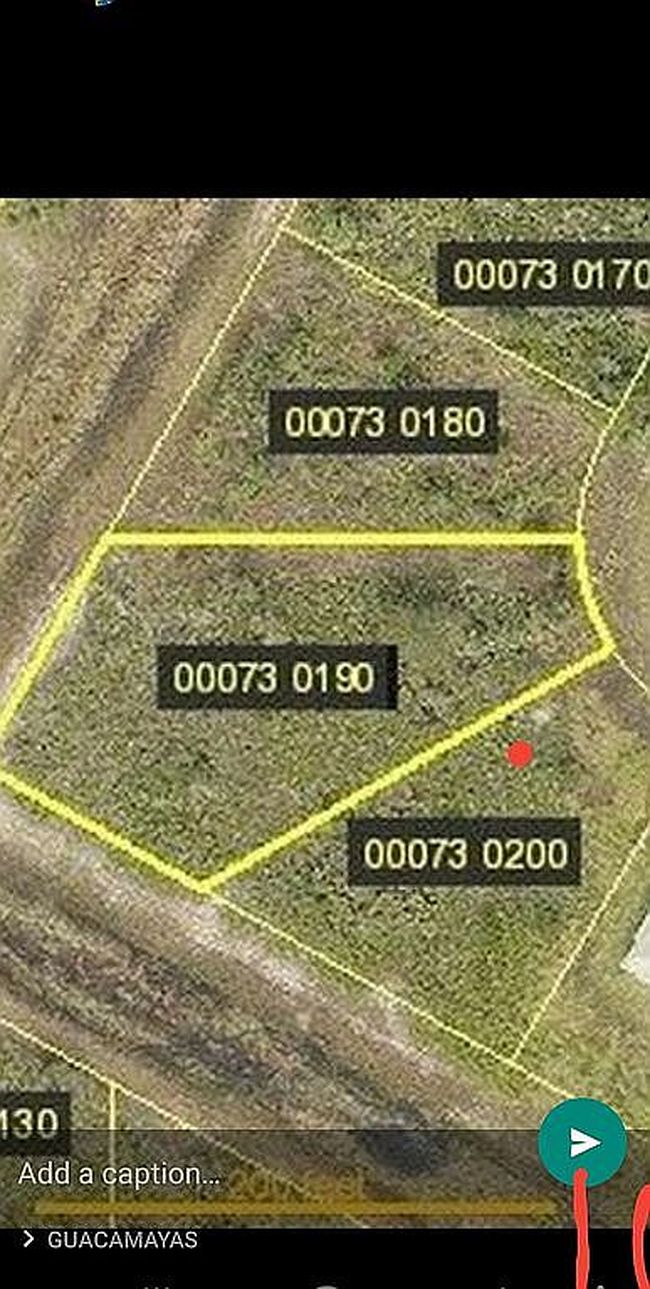 Image of 423 Mercedes Ct