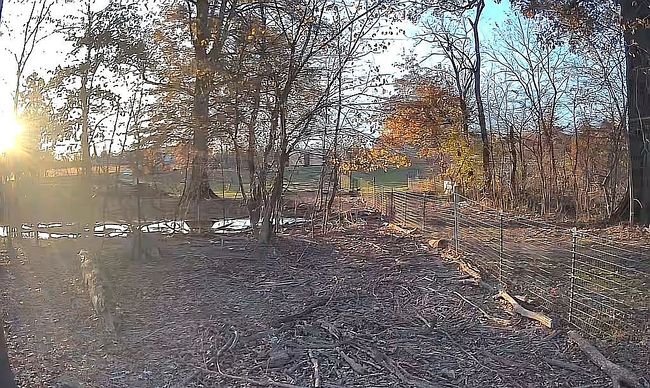 Image of 14102 Chase Rd