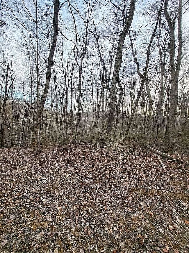Image of 0 Saddletree Ave Lot Ww