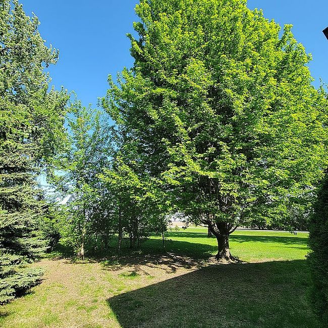 Image of 35457 85th St