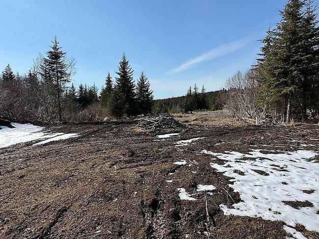 Photo of 1521 Eagle View Dr, Homer, AK