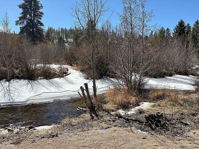 Photo of 7344 Ottawa Way, Red Feather Lakes, CO