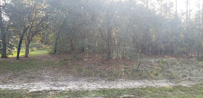 Image of 8175 N Triana Dr