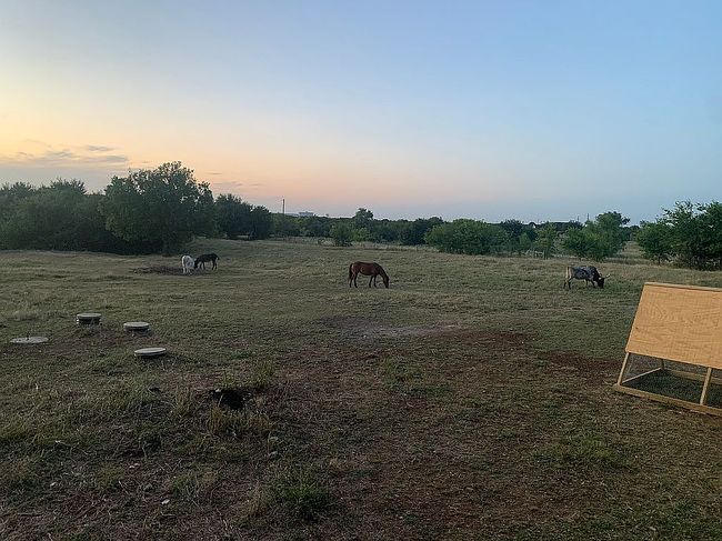 Photo of 14321 Allen Trl, Roanoke, TX
