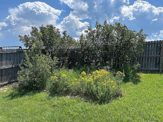 Photo of 3409 Roughlock Ln, Spearfish, SD