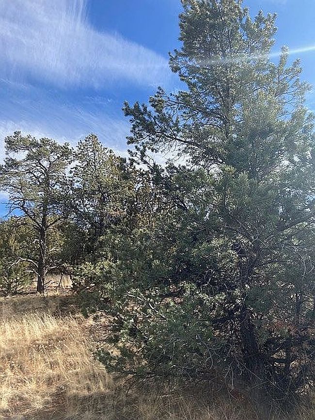 Photo of 91 Ranch Rd #78-8145, Concho, AZ