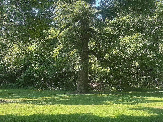 Photo of 100 S Holman St, Brookland, AR