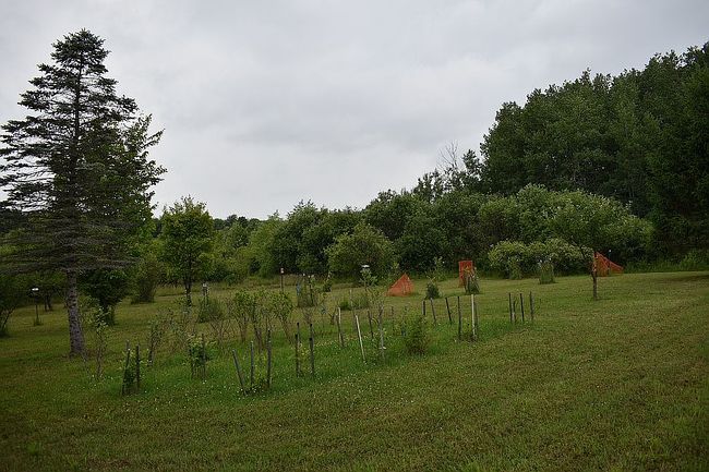 Photo of 7397 Livingston Rd, Franklinville, NY